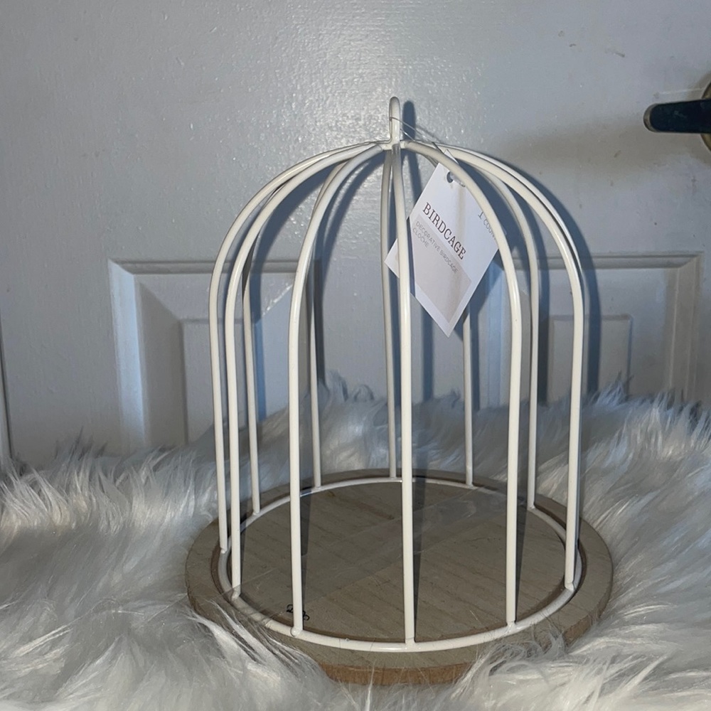 COPY - Bird cage